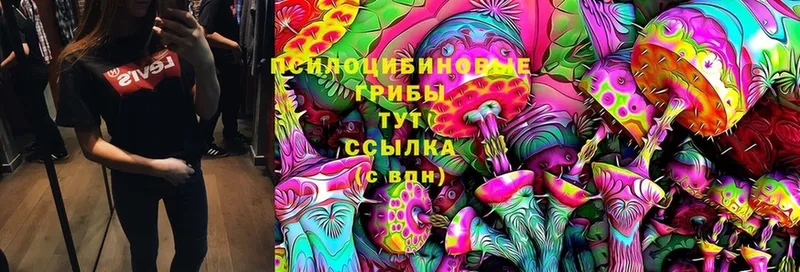 Галлюциногенные грибы MAGIC MUSHROOMS  Балабаново 